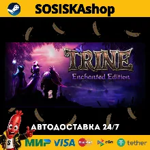 Trine Enchanted Edition + ВЫБОР РЕГИОНА STEAM