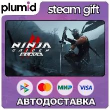 NINJA GAIDEN 2 Black Steam Gift / Россия + МИР / АВТО