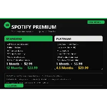 SPOTIFY PREMIUM 1 3 6 12 МЕС⭐ - irongamers.ru