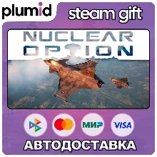 Nuclear Option Steam Gift / Россия + МИР / АВТО
