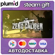 Zero Caliber VR Steam Gift / Россия + МИР / АВТО