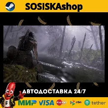 Hellblade: Senua's Sacrifice + ВЫБОР РЕГИОНА STEAM