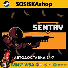 SENTRY + ВЫБОР РЕГИОНА STEAM