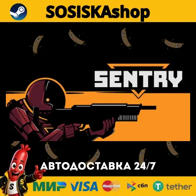 SENTRY + ВЫБОР РЕГИОНА STEAM - irongamers.ru