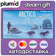 Arctico Steam Gift / Россия + МИР / АВТО