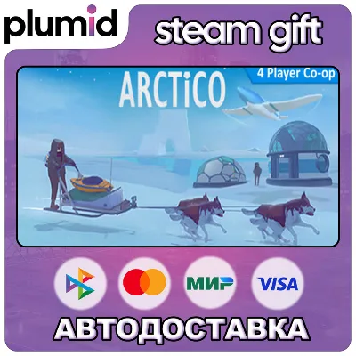 Arctico Steam Gift / Россия + МИР / АВТО - irongamers.ru