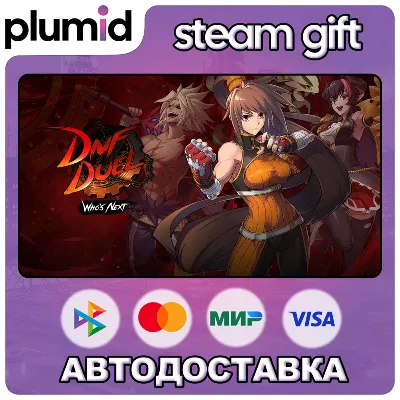 DNF Duel Steam Gift / Россия + МИР / АВТО - irongamers.ru