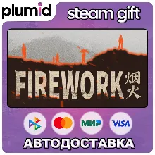 Firework Steam Gift / Россия + МИР / АВТО