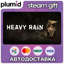 Heavy Rain Steam Gift / Россия + МИР / АВТО