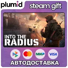 Into the Radius VR Steam Gift / Россия + МИР / АВТО