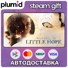 The Dark Pictures Anthology: Little Hope Steam Gift / Россия + МИР / АВТО