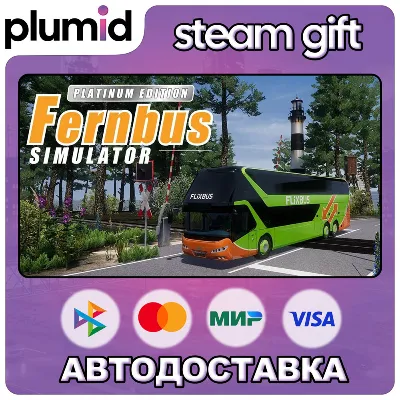 Fernbus Simulator Platinum Edition Steam Gift / Россия + МИР / АВТО - irongamers.ru