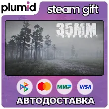 35MM Steam Gift / Россия + МИР / АВТО