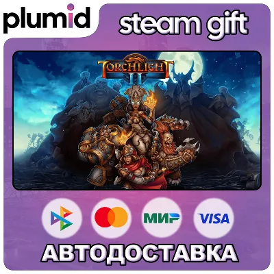 Torchlight II Steam Gift / Россия + МИР / АВТО - irongamers.ru
