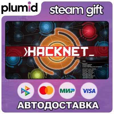 Hacknet Steam Gift / Россия + МИР / АВТО - irongamers.ru