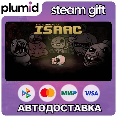 The Binding of Isaac Steam Gift / Россия + МИР / АВТО - irongamers.ru