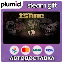 Binding of Isaac Bundle Steam Gift / Россия + МИР / АВТО