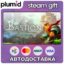 Bastion Steam Gift / Россия + МИР / АВТО