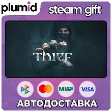 Thief Steam Gift / Россия + МИР / АВТО