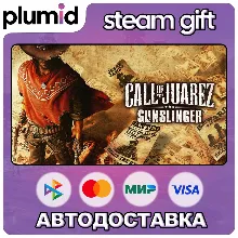 Call of Juarez: Gunslinger Steam Gift / Россия + МИР / АВТО