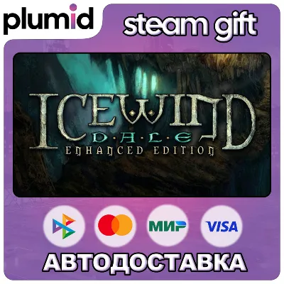 Icewind Dale: Enhanced Edition Steam Gift / Россия + МИР / АВТО - irongamers.ru