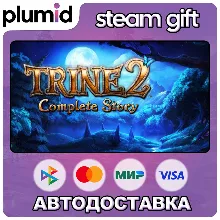 Trine 2: Complete Story Steam Gift / Россия + МИР / АВТО