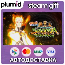 NARUTO SHIPPUDEN: Ultimate Ninja STORM Revolution Steam Gift / Россия + МИР / АВТО