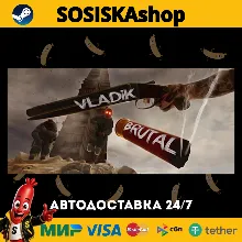 VLADiK BRUTAL + ВЫБОР РЕГИОНА STEAM