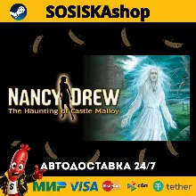 Nancy Drew®: The Haunting of Castle Malloy + ВЫБОР РЕГИОНА STEAM