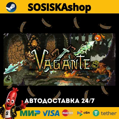 Vagante + ВЫБОР РЕГИОНА STEAM