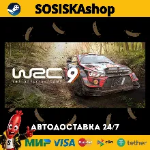 WRC 9 FIA World Rally Championship + ВЫБОР РЕГИОНА STEAM