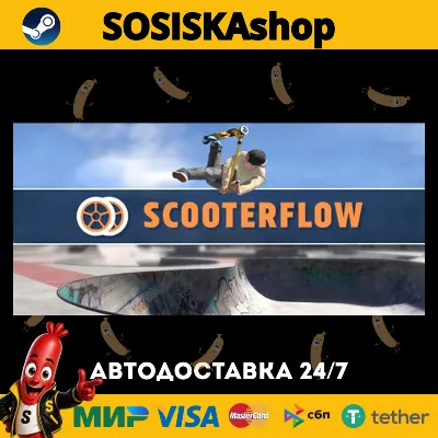 ScooterFlow + ВЫБОР РЕГИОНА STEAM - irongamers.ru