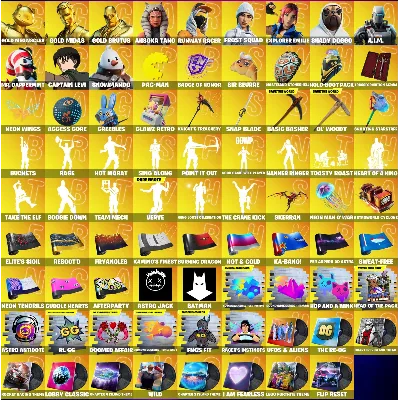 FN (все платформы) • 308 skins • Gold Brutus • Shady Doggo • Полный доступ - irongamers.ru