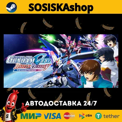 MOBILE SUIT GUNDAM SEED BATTLE DESTINY REMASTERED + ВЫБОР РЕГИОНА STEAM - irongamers.ru