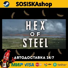Hex of Steel + ВЫБОР РЕГИОНА STEAM