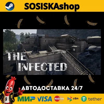 The Infected + ВЫБОР РЕГИОНА STEAM - irongamers.ru