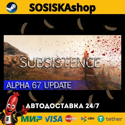 Subsistence + ВЫБОР РЕГИОНА STEAM - irongamers.ru