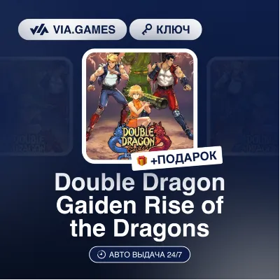 Double Dragon Gaiden: Rise of the Dragons XBOX Key - irongamers.ru