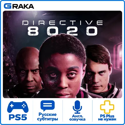 Directive 8020 PS5 Аренда 1-30 дней - irongamers.ru