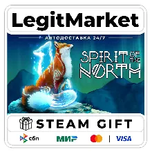 Spirit of the North / Steam АВТО / РУ + МИР