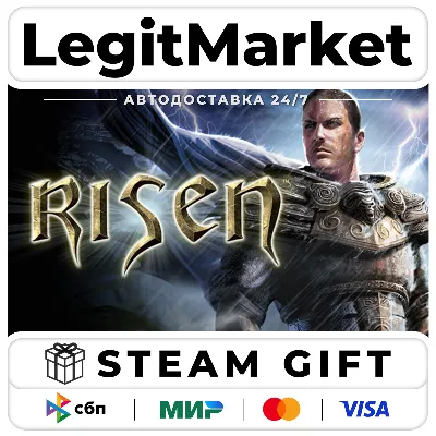 Risen / Steam АВТО / РУ + МИР