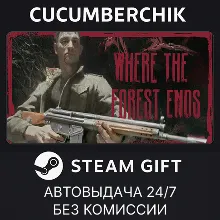 Where the forest ends STEAM GIFT AUTO RU+МИР