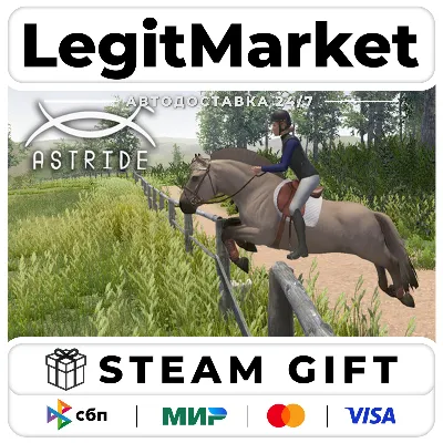 Astride / Steam АВТО / РУ + МИР - irongamers.ru
