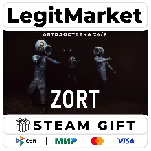 Zort / Steam АВТО / РУ + МИР