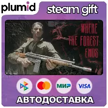 Where the forest ends Steam Gift / Россия + МИР / АВТО