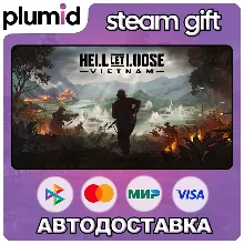 Hell Let Loose: Vietnam Steam Gift / Россия + МИР / АВТО