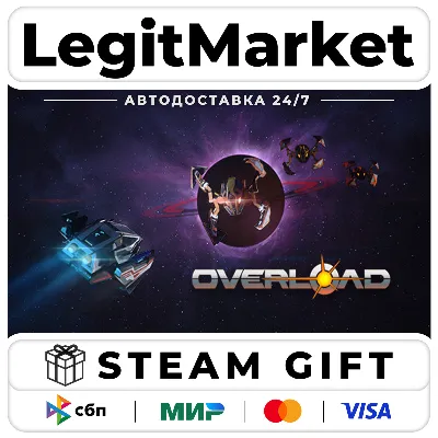 Overload / Steam АВТО / РУ + МИР - irongamers.ru