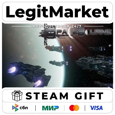 SpaceBourne / Steam АВТО / РУ + МИР - irongamers.ru