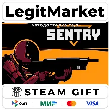 SENTRY / Steam АВТО / РУ + МИР