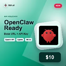 OpenClaw API ваучер $10 | Base URL + API Key | lizh.ai
